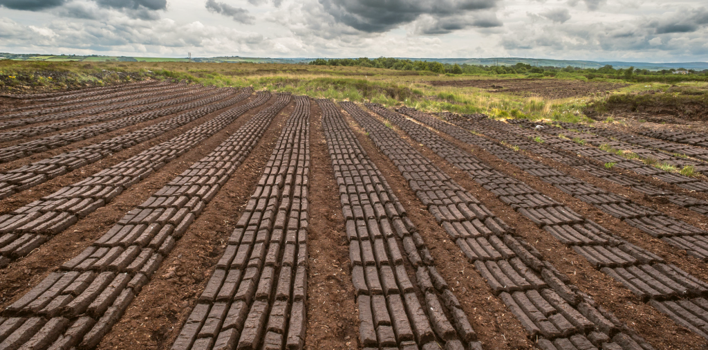 What is Peat?