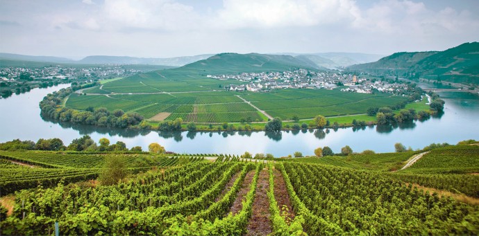 Appellation Appreciation: Mosel