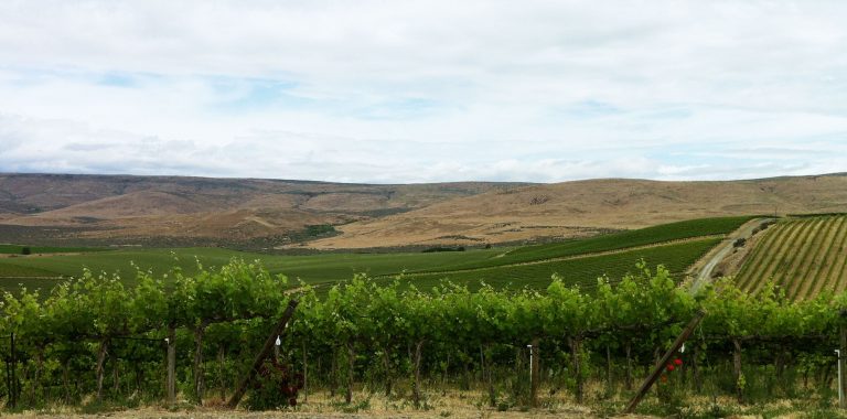 A Guide to the Yakima Valley