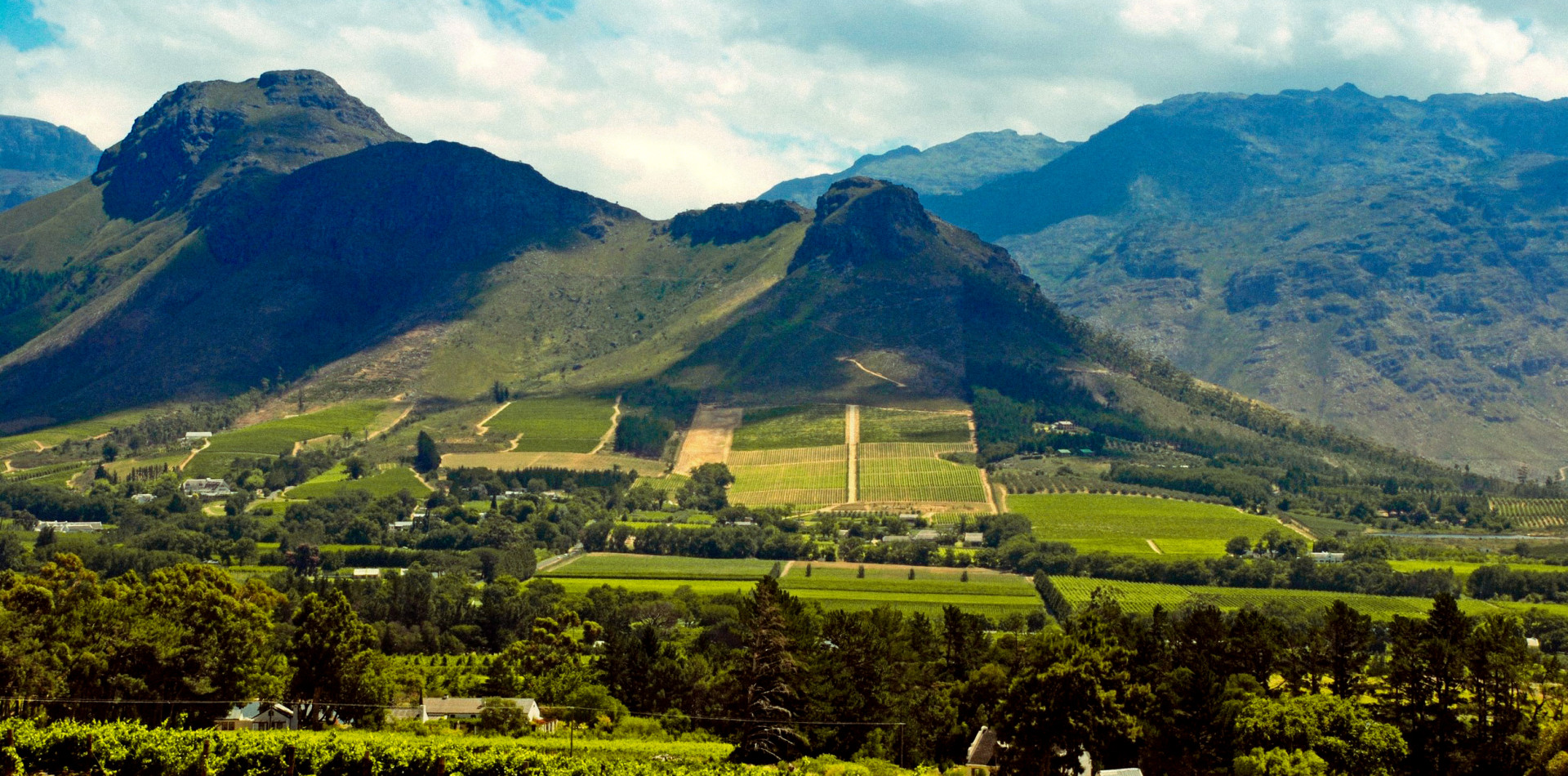 south-african-wine-regions-101